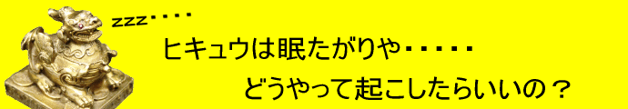 金運ヒキュウの置き場所