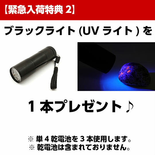 ユーパーライト 54g UVライト+ギャランティーカード付き 現物販売